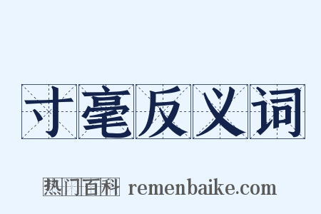 寸毫反义词是什么意思的图片
